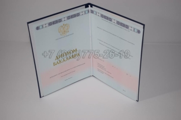 Диплом Бакалавра 2023г ГОЗНАК в Вологде