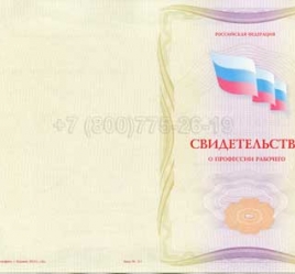 Свидетельство о Профессии Рабочего "Авиационный механик(техник)по приборам и электрооборудованию" в Вологде
