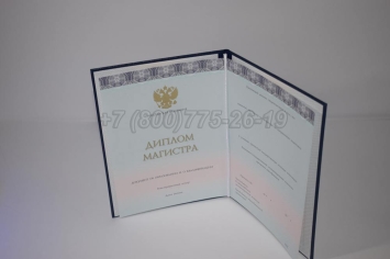 Диплом Магистра 2023г ООО "Знак" в Вологде