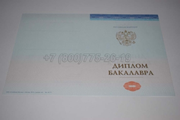 Диплом Бакалавра СпецБланк 2024г в Вологде