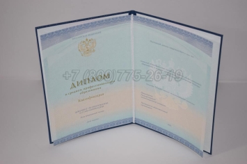 Диплом Техникума 2023г СпецБланк в Вологде
