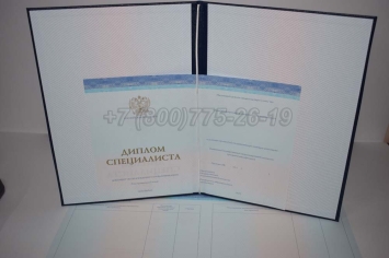 Диплом о Высшем Образовании 2019г СпецБланк в Вологде