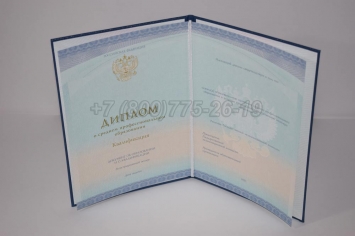 Диплом Техникума 2018г СпецБланк в Вологде