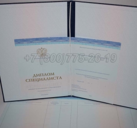 Диплом о Высшем Образовании 2023г СпецБланк в Вологде