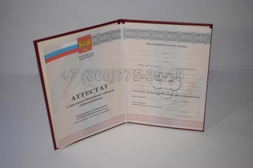 Аттестат За 11 Класс 2010г Серебро в Вологде