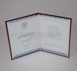 Аттестат За 11 Класс 2023г Золото ГОЗНАК в Вологде